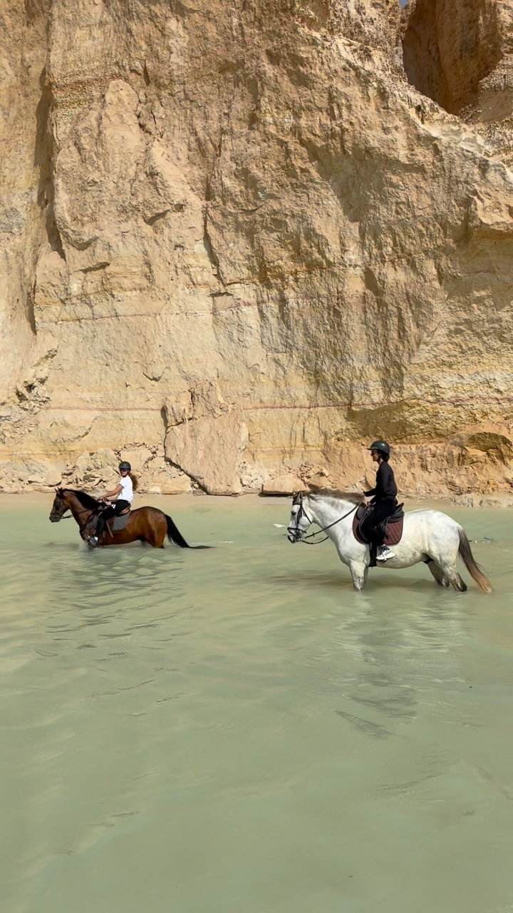 Jump in a little magic lagoon with our beloved horses ✨

#dakhla #horses #horserider #sahara #horseriding