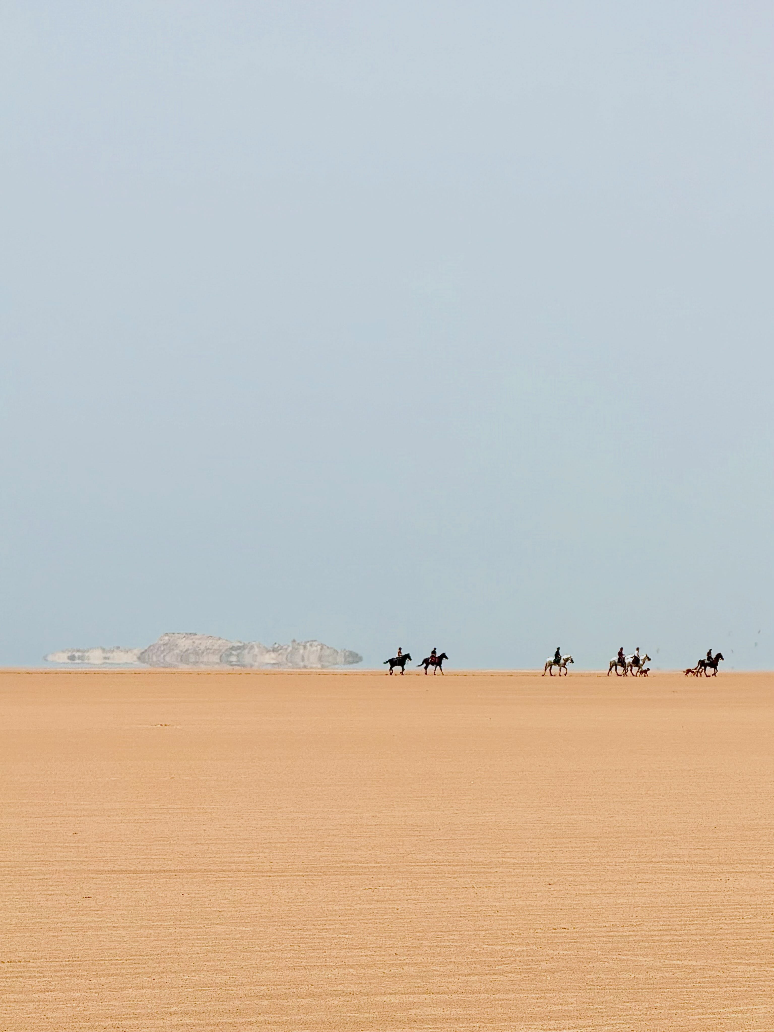 Dragon Island & our horses.
Never tired of the amazing landscapes of Dakhla 🤍

#dakhla #horseriding #horse #dragonislan