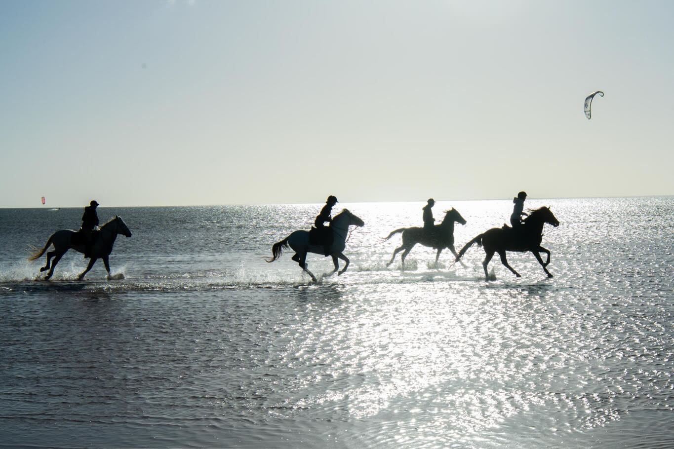A glimpse of our first trek of 3 days in Dakhla, where the Sahara meets the sea. Landscapes that take your breath away b